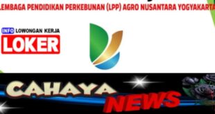 Lowongan kerja dan Gaji PT LPP Agro Nusantara Yogyakarta 