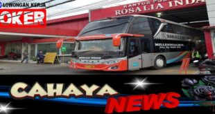 Gaji Sopir Bus Rosalinda dan lowongan kerja PT Rosalia Indah Transport